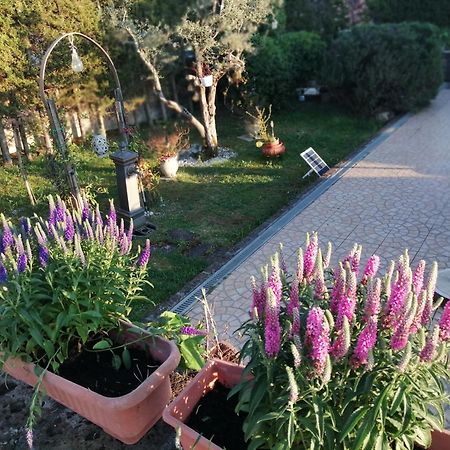 B&B Villa Milena Ariano Irpino Εξωτερικό φωτογραφία