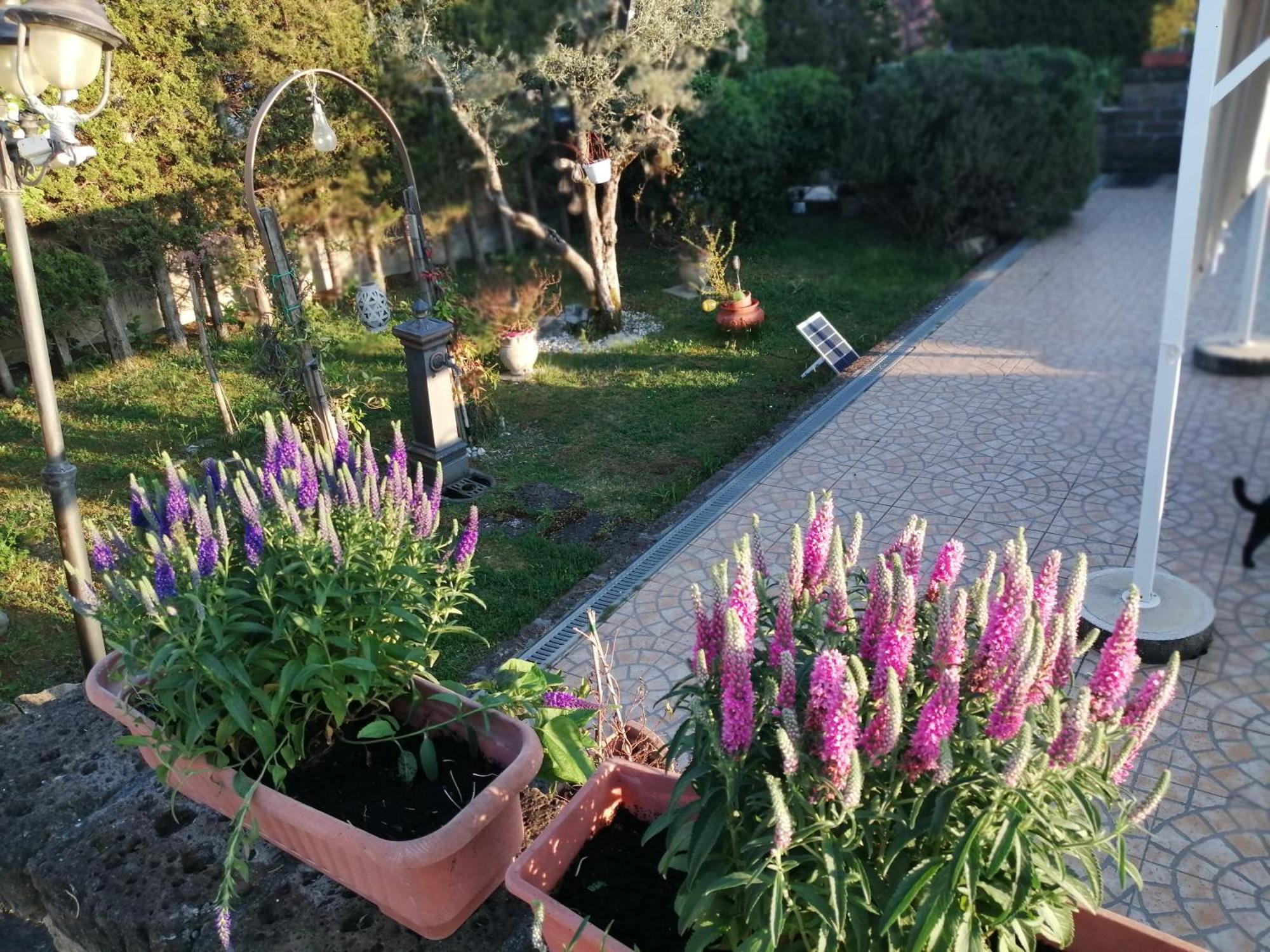 B&B Villa Milena Ariano Irpino Εξωτερικό φωτογραφία