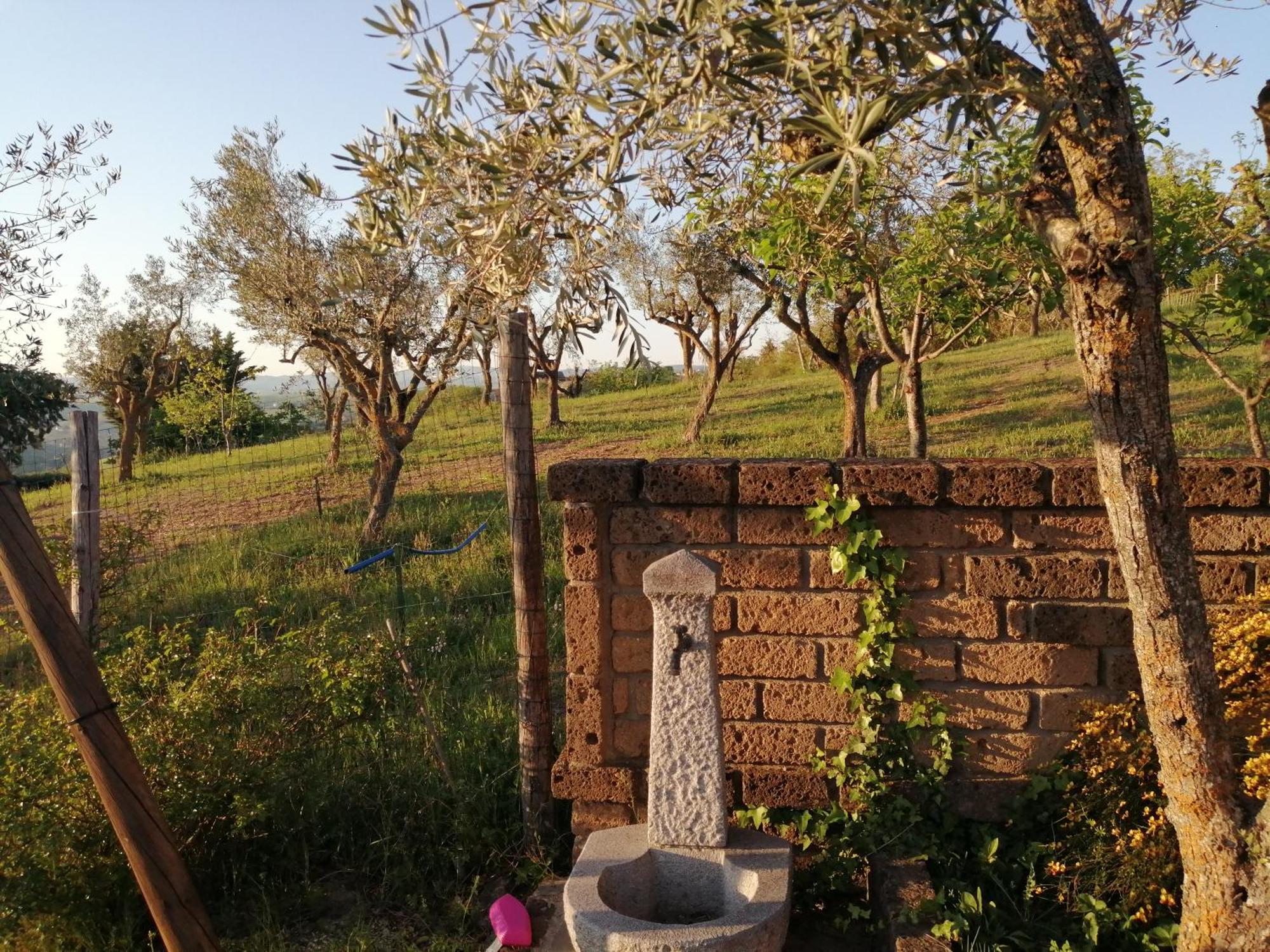 B&B Villa Milena Ariano Irpino Εξωτερικό φωτογραφία