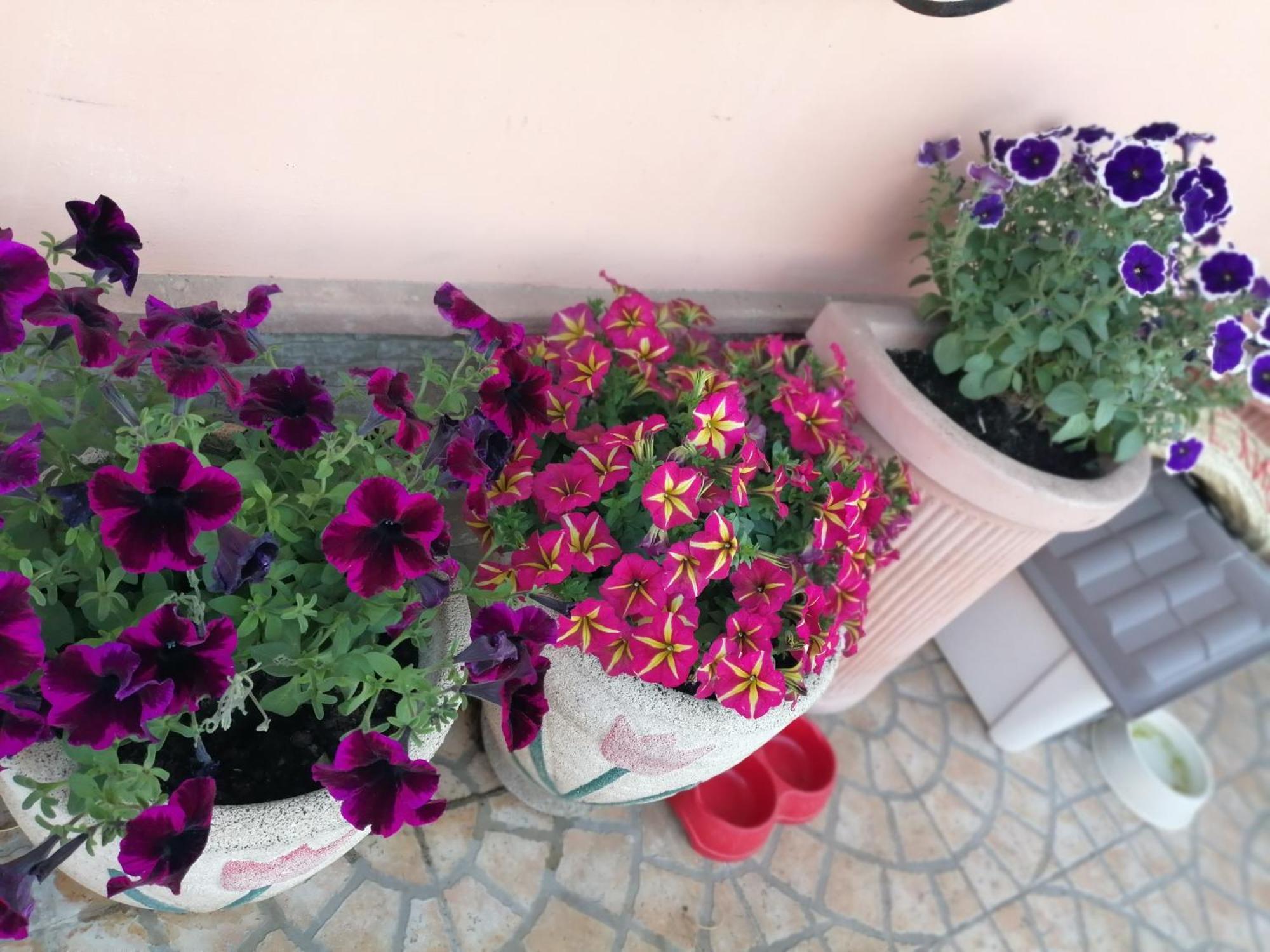 B&B Villa Milena Ariano Irpino Εξωτερικό φωτογραφία